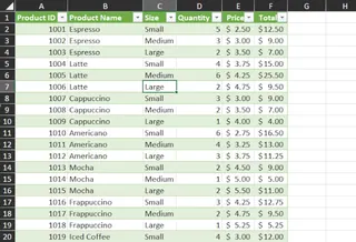 清理完毕准备分析的 Excel 表格 2