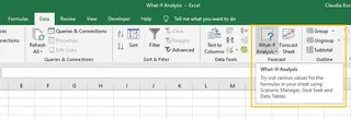 Excel 模拟分析工具 Excel 模拟分析工具