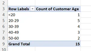 使用数据透视表的频率分布11