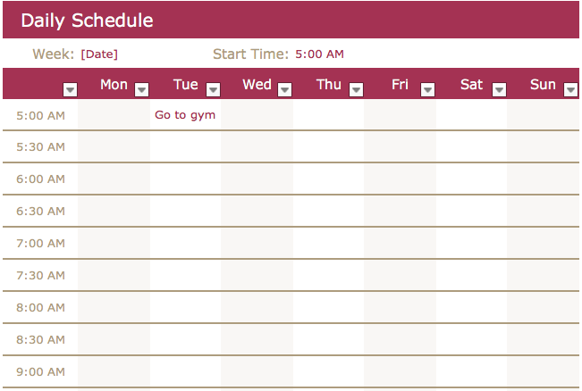 Excel中手动格式化的每日日程表模板 2