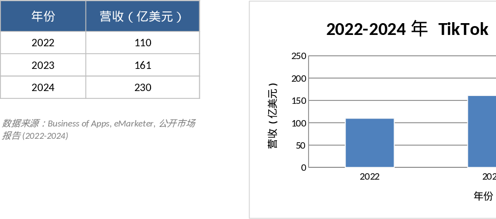 TikTok 2022-2024营收柱状图模板
